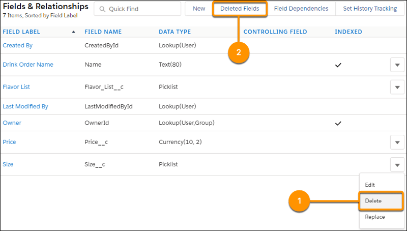 deleted fields from Lightning Experience