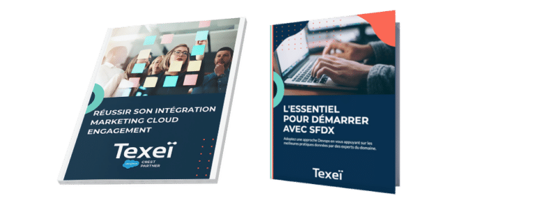 Livre-Blanc-SFDX-MCE