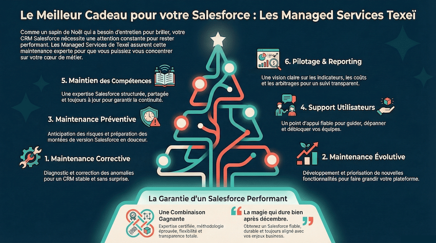 Le Managed Service Salesforce by Texeï