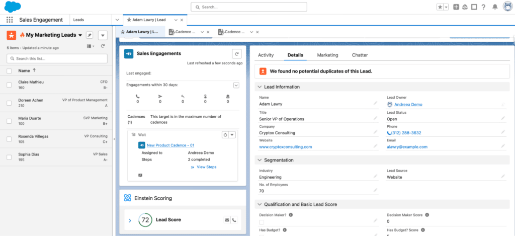Sales-Management-Salesforce